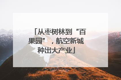 从枣树林到“百果园”，航空新城种出大产业