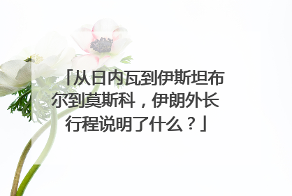 从日内瓦到伊斯坦布尔到莫斯科，伊朗外长行程说明了什么？