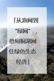 从渔网到“绿网”，蔡甸桐湖网住绿色生态经济