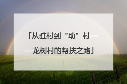 从驻村到“助”村——龙树村的帮扶之路