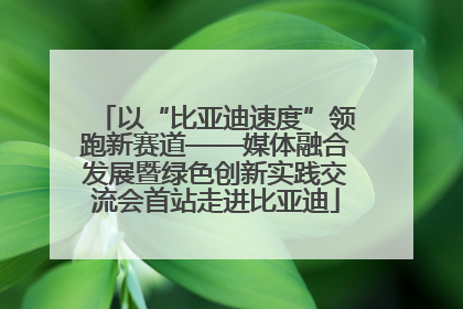以“比亚迪速度”领跑新赛道——媒体融合发展暨绿色创新实践交流会首站走进比亚迪