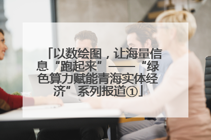 以数绘图，让海量信息“跑起来”——“绿色算力赋能青海实体经济”系列报道①