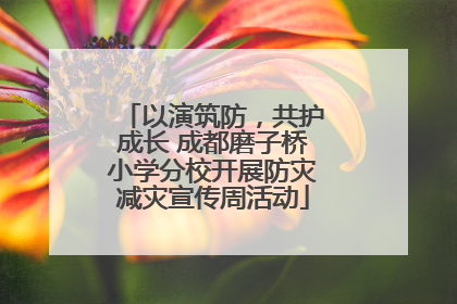 以演筑防，共护成长 成都磨子桥小学分校开展防灾减灾宣传周活动
