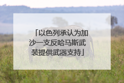 以色列承认为加沙一支反哈马斯武装提供武器支持