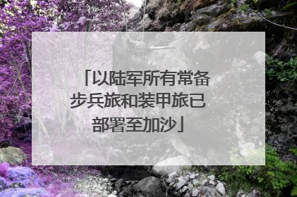 以陆军所有常备步兵旅和装甲旅已部署至加沙