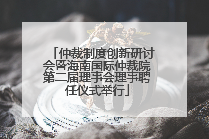 仲裁制度创新研讨会暨海南国际仲裁院第二届理事会理事聘任仪式举行