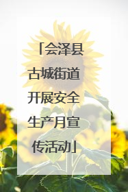 会泽县古城街道开展安全生产月宣传活动