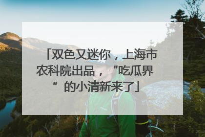 双色又迷你，上海市农科院出品，“吃瓜界”的小清新来了