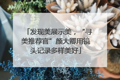 发现美展示美，“寻美推荐官”颜大卿用镜头记录多样美好