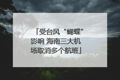 受台风“蝴蝶”影响 海南三大机场取消多个航班