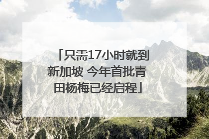 只需17小时就到新加坡 今年首批青田杨梅已经启程