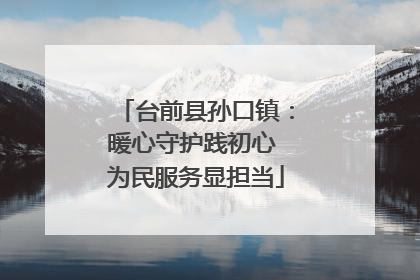 台前县孙口镇：暖心守护践初心 为民服务显担当