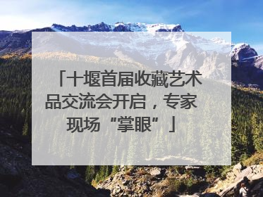 十堰首届收藏艺术品交流会开启，专家现场“掌眼”