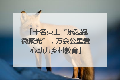 千名员工“乐起跑 微聚光”，万余公里爱心助力乡村教育