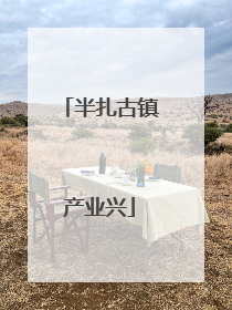 半扎古镇产业兴