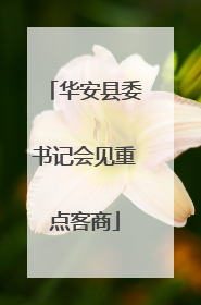 华安县委书记会见重点客商