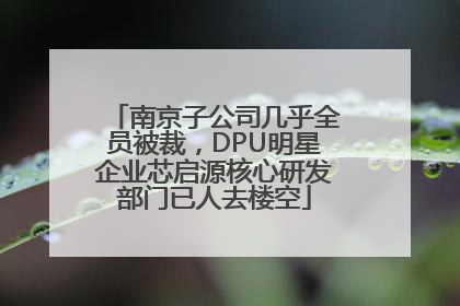 南京子公司几乎全员被裁，DPU明星企业芯启源核心研发部门已人去楼空