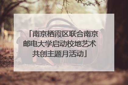 南京栖霞区联合南京邮电大学启动校地艺术共创主题月活动