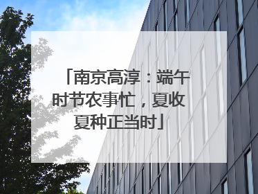 南京高淳：端午时节农事忙，夏收夏种正当时