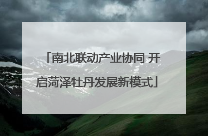 南北联动产业协同 开启菏泽牡丹发展新模式