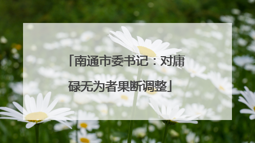 南通市委书记：对庸碌无为者果断调整