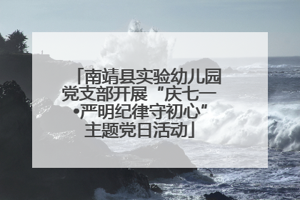 南靖县实验幼儿园党支部开展“庆七一•严明纪律守初心”主题党日活动