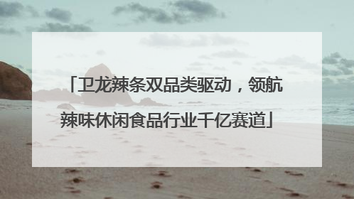 卫龙辣条双品类驱动，领航辣味休闲食品行业千亿赛道