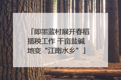 即墨蓝村展开春稻插秧工作 千亩盐碱地变“江南水乡”