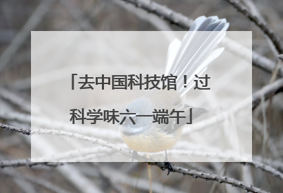 去中国科技馆！过科学味六一端午