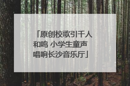 原创校歌引千人和鸣 小学生童声唱响长沙音乐厅