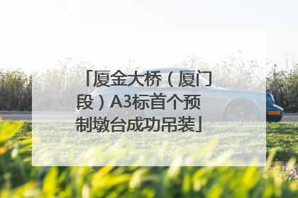 厦金大桥（厦门段）A3标首个预制墩台成功吊装