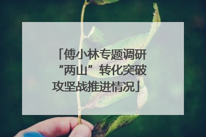 傅小林专题调研“两山”转化突破攻坚战推进情况