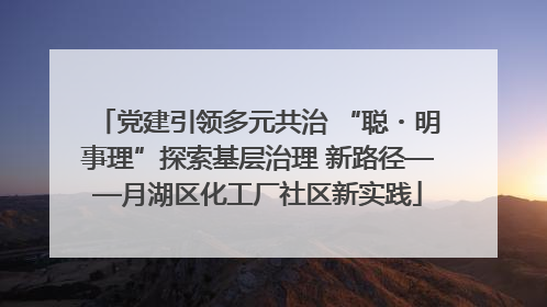 党建引领多元共治 “聪・明事理”探索基层治理 新路径——月湖区化工厂社区新实践