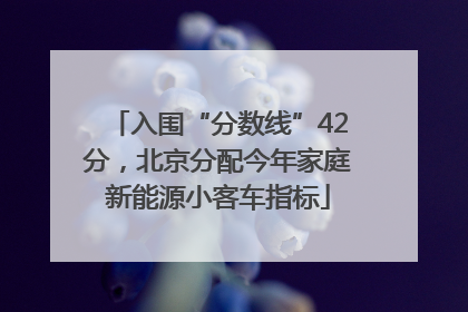 入围“分数线”42分，北京分配今年家庭新能源小客车指标