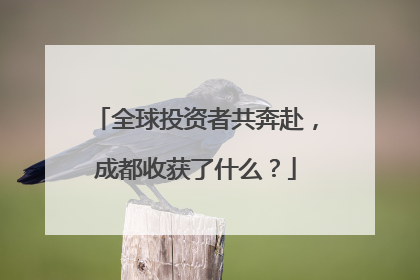 全球投资者共奔赴，成都收获了什么？