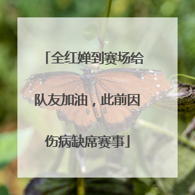 全红婵到赛场给队友加油，此前因伤病缺席赛事
