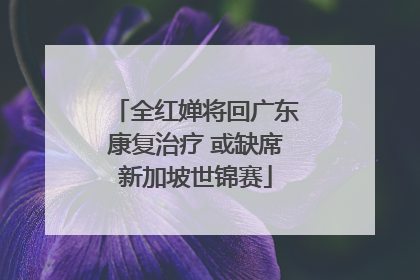 全红婵将回广东康复治疗 或缺席新加坡世锦赛
