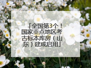 全国第3个！国家重点地区考古标本库房（山东）建成启用