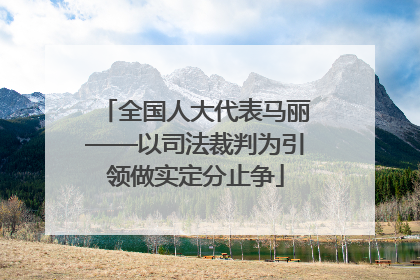 全国人大代表马丽——以司法裁判为引领做实定分止争