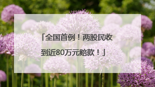 全国首例！两股民收到近80万元赔款！