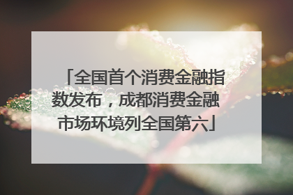 全国首个消费金融指数发布，成都消费金融市场环境列全国第六