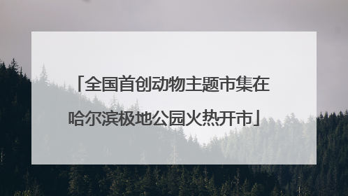 全国首创动物主题市集在哈尔滨极地公园火热开市