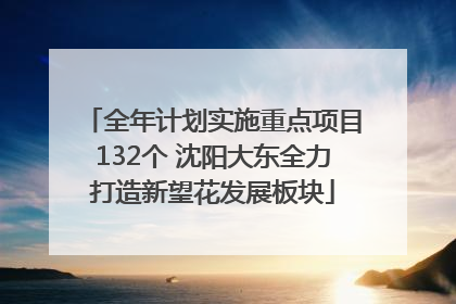全年计划实施重点项目132个 沈阳大东全力打造新望花发展板块