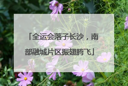 全运会落子长沙，南部融城片区振翅腾飞