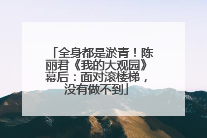 全身都是淤青！陈丽君《我的大观园》幕后：面对滚楼梯，没有做不到