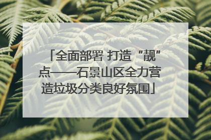 全面部署 打造“靓” 点——石景山区全力营造垃圾分类良好氛围