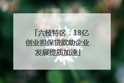 六枝特区：18亿创业担保贷款助企业发展提质加速