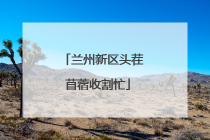 兰州新区头茬苜蓿收割忙
