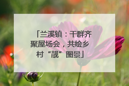 兰溪镇：干群齐聚屋场会，共绘乡村“靓”图景