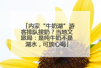 内蒙“牛奶湖”游客排队接奶？当地文旅局：是纯牛奶不是湖水，可放心喝